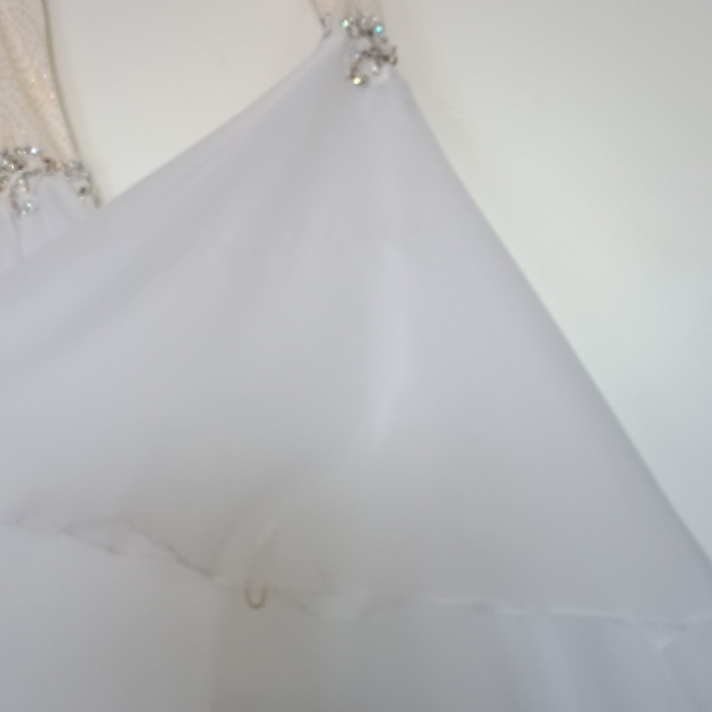 White Feathered International Ballroom Gown with Floaters - Picture 9 of 12